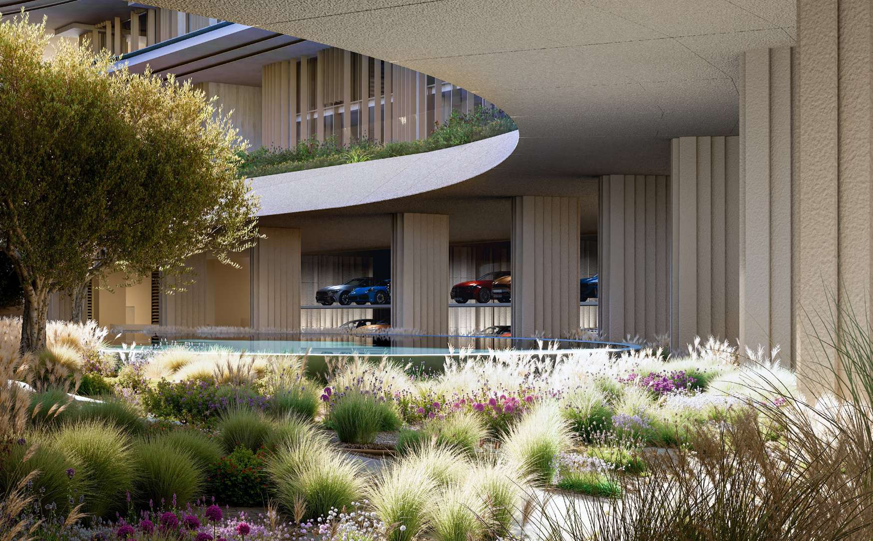 Arrival garden with olive tree, water feature and glass-fronted car gallery